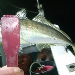 シースナイパー海龍 釣果