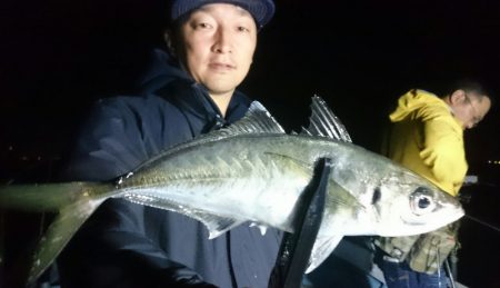 シースナイパー海龍 釣果