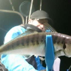 シースナイパー海龍 釣果