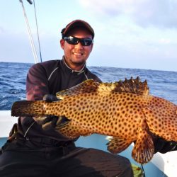 ＫＹＯＥＩⅢ 釣果