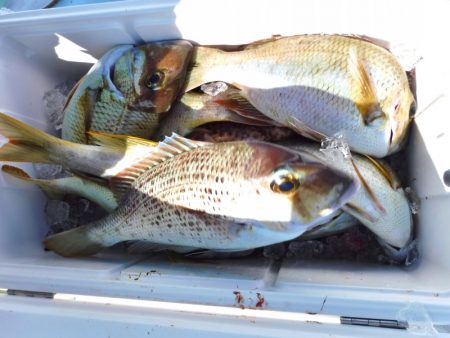 ＫＹＯＥＩⅢ 釣果