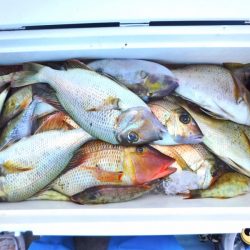 ＫＹＯＥＩⅢ 釣果