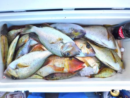 ＫＹＯＥＩⅢ 釣果