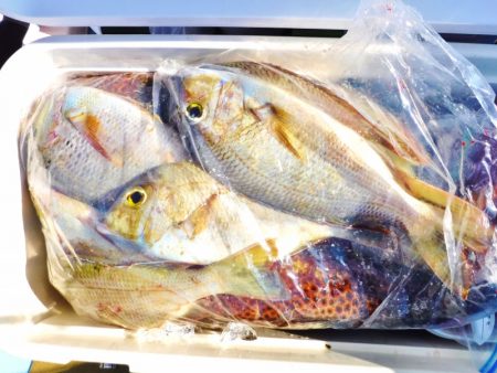 ＫＹＯＥＩⅢ 釣果