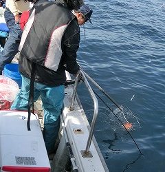 第二清洋丸 釣果