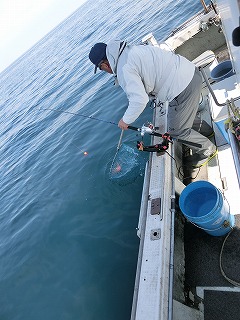 第二清洋丸 釣果