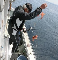 第二清洋丸 釣果