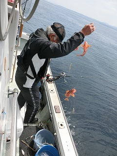 第二清洋丸 釣果