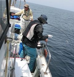 第二清洋丸 釣果