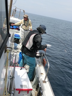 第二清洋丸 釣果