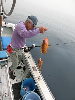 第二清洋丸 釣果