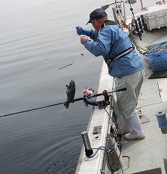 第二清洋丸 釣果