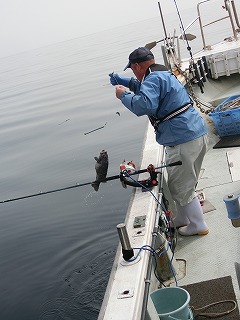 第二清洋丸 釣果