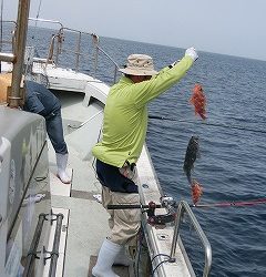 第二清洋丸 釣果