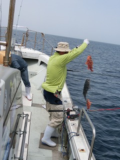 第二清洋丸 釣果