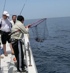 第二清洋丸 釣果