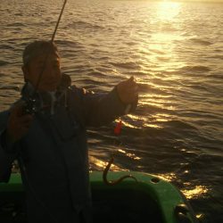 中山丸 釣果