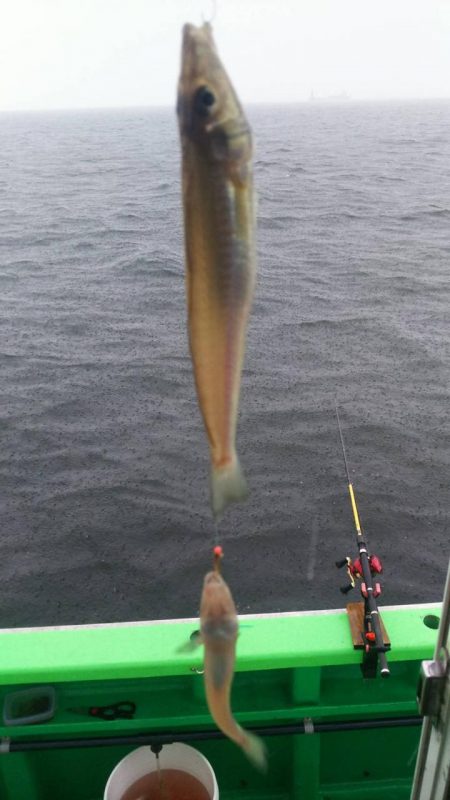 中山丸 釣果