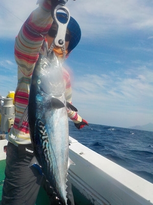 明日丸 釣果