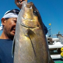明日丸 釣果
