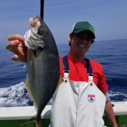 ゆたか丸 釣果