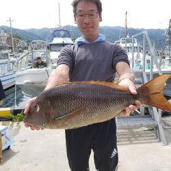 ゆたか丸 釣果