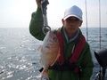 釣船　キティ 釣果