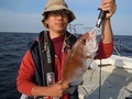 釣船　キティ 釣果