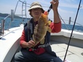 釣船　キティ 釣果