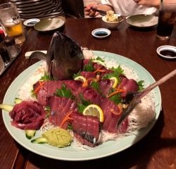 ことぶき丸 釣果