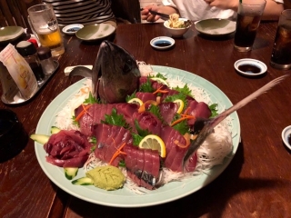 ことぶき丸 釣果