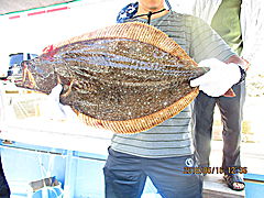 遊漁船 未紗奈 釣果