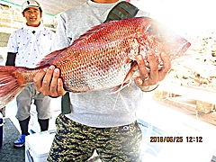 遊漁船 未紗奈 釣果