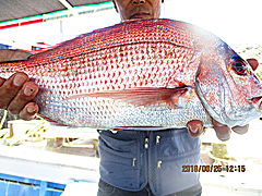 遊漁船 未紗奈 釣果