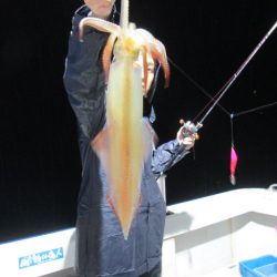 ジギング船 BLUEWATER 釣果