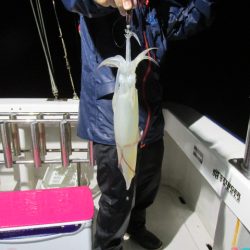 ジギング船 BLUEWATER 釣果