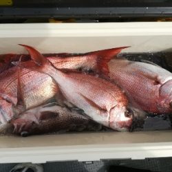 IDATEN(イダテン) 釣果