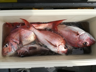 IDATEN(イダテン) 釣果