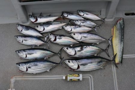 へいみつ丸 釣果