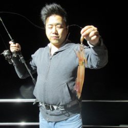 ジギング船 BLUEWATER 釣果