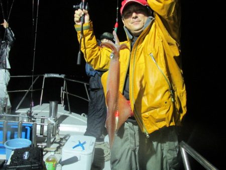 ジギング船 BLUEWATER 釣果