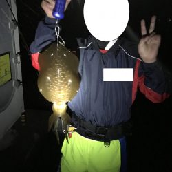 中紀で梅雨のキロアップアオリイカ