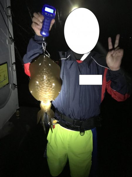 中紀で梅雨のキロアップアオリイカ