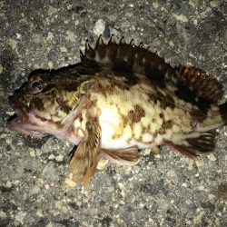 出勤前に。part 3