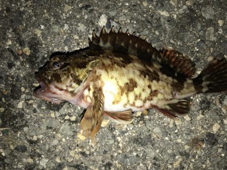 出勤前に。part 3