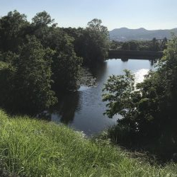 海まで行かず野池に久し振りに行って来ました。