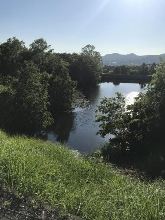 海まで行かず野池に久し振りに行って来ました。