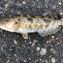 出勤前に。part 9