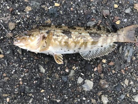 出勤前に。part 9