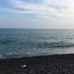 すごいファイト！